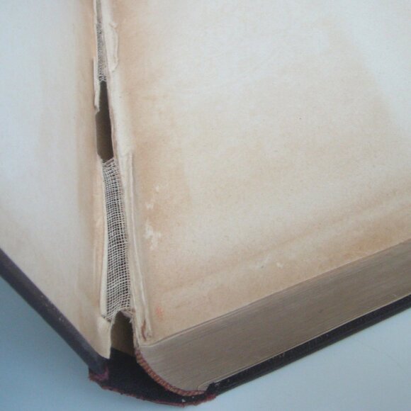 The Principles and Practices of Beauty Culture Official Textbook Wilfred Academy - Picture 16 of 16